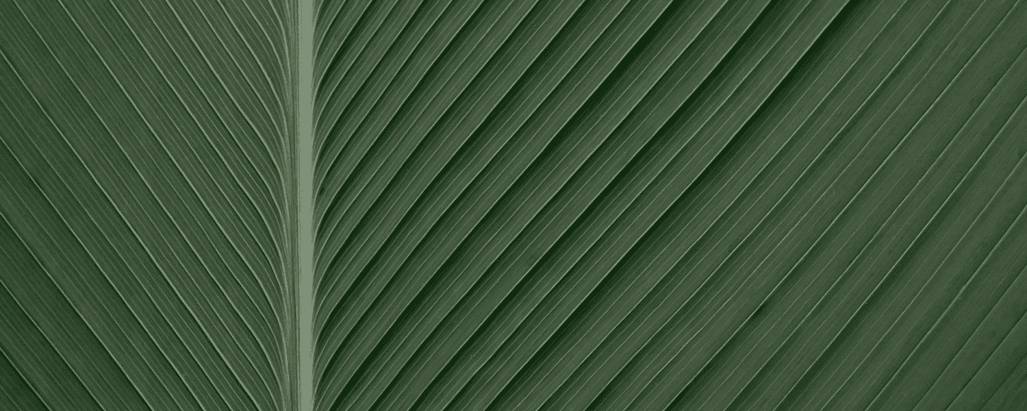 page-image